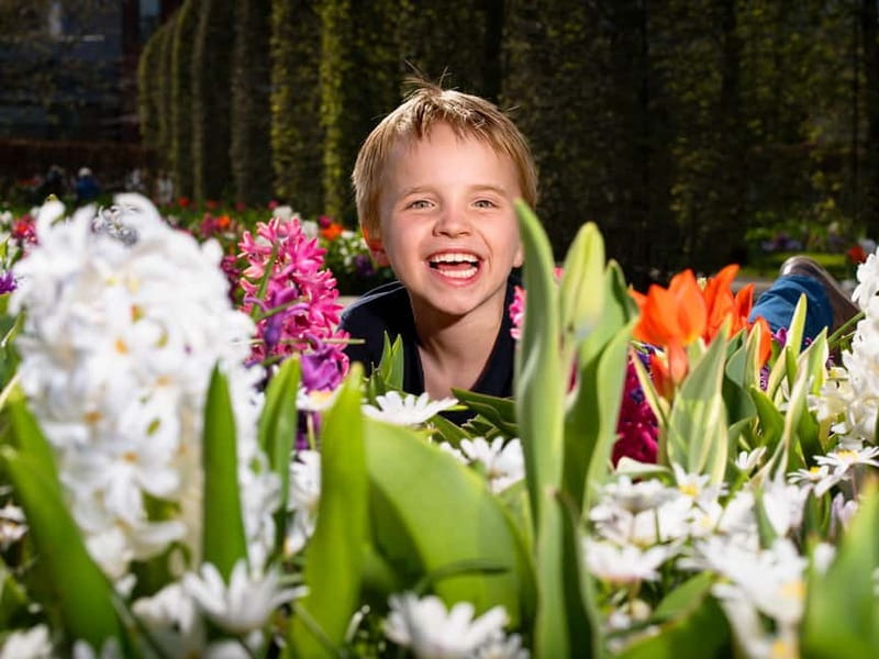 Amsterdam: Keukenhof Ticket and Roundtrip Shuttle Transfer - Entering Keukenhof with your official ticket
