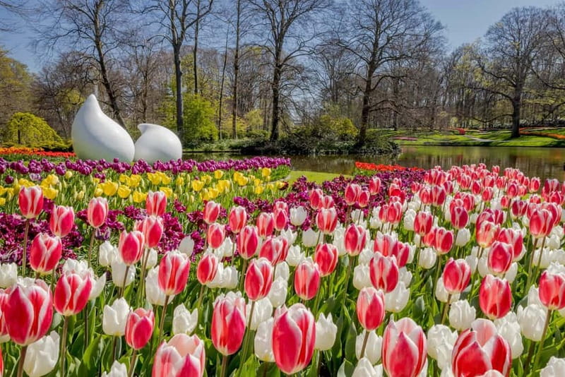 Amsterdam: Keukenhof Ticket and Roundtrip Shuttle Transfer - How long should you stay inside?
