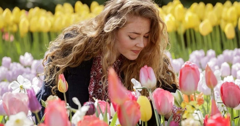 Amsterdam: Keukenhof Ticket and Roundtrip Shuttle Transfer - The importance of choosing the right spring date