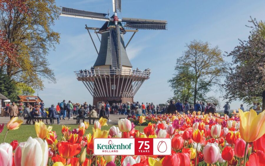 Amsterdam: Keukenhof Ticket and Roundtrip Shuttle Transfer - Food, breaks, and a full day outdoors