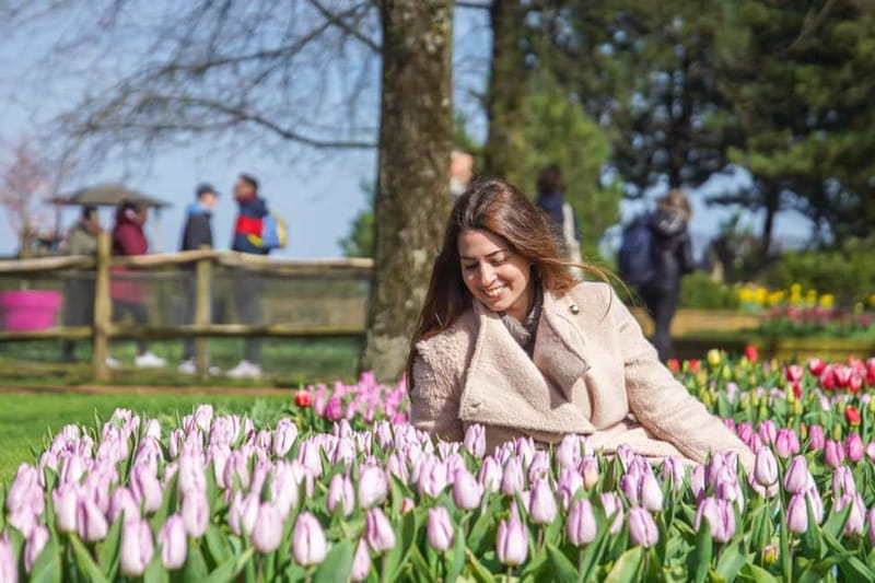 Amsterdam: Keukenhof Ticket and Roundtrip Shuttle Transfer - What this trip does not include