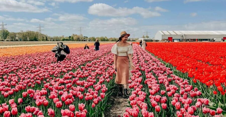 Amsterdam: Keukenhof, Tulip Farm Full-Day Tour with Cruise - Who should take this tour?