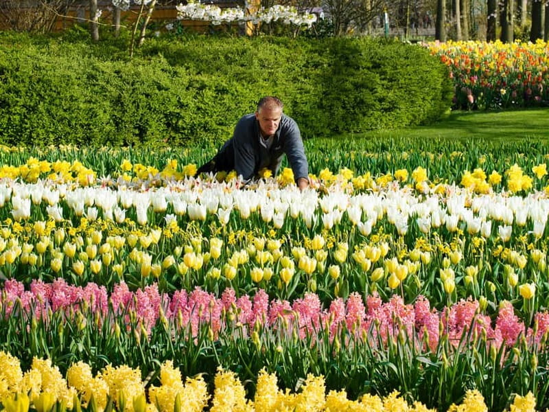 Amsterdam: Keukenhof, Tulip Farm Full-Day Tour with Cruise - Exploring Keukenhof without a fixed group route