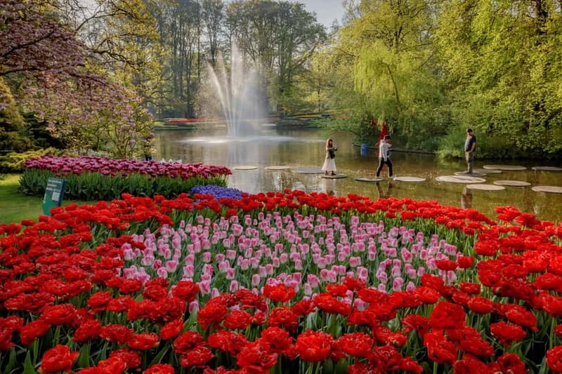 Amsterdam: Keukenhof, Tulip Farm Full-Day Tour with Cruise - How the $96 price measures up
