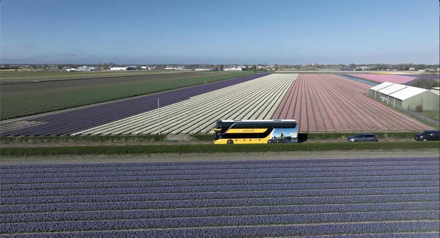 Amsterdam: Keukenhof, Tulip Farm Full-Day Tour with Cruise - The guides, coach, and pace