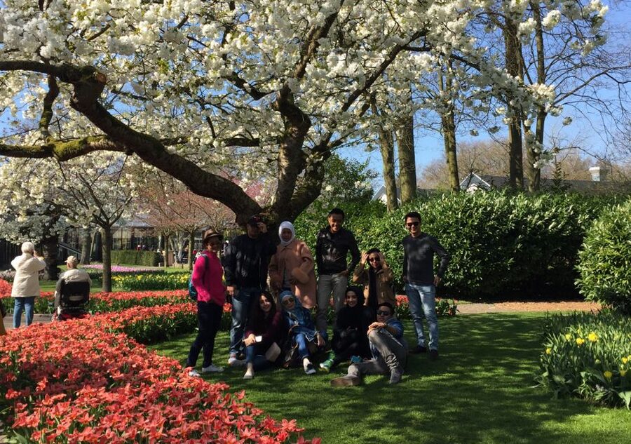 Amsterdam: Keukenhof Tulip Garden and Giethoorn Experience - What $175 includes, and what it does not
