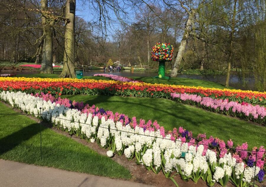 Amsterdam: Keukenhof Tulip Garden and Giethoorn Experience - Meeting at Prins Hendrikkade at 8:30 AM