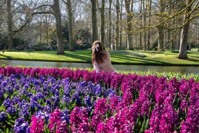 Keukenhof, Zaanse Schans & Volendam Tour