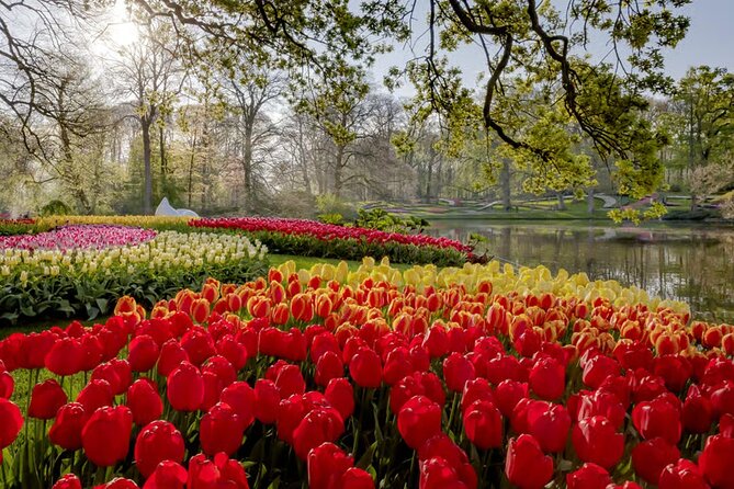 Amsterdam: Keukenhof, Zaanse Schans & Volendam Tour - Is $83.38 good value?
