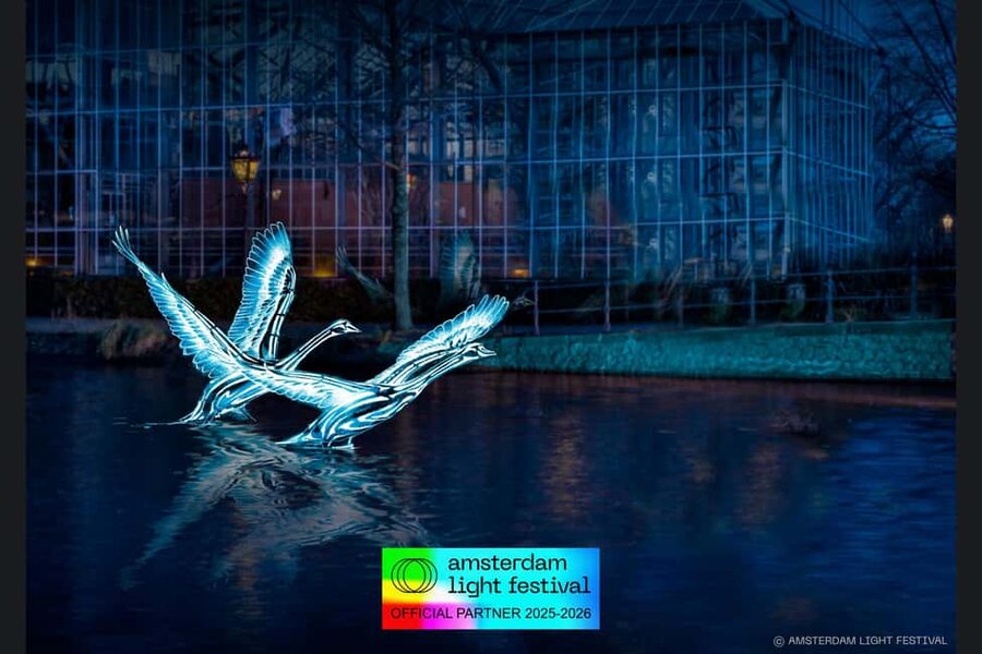 Amsterdam: Light Festival Heated Cruise with Drinks Option - Key points to know before you book