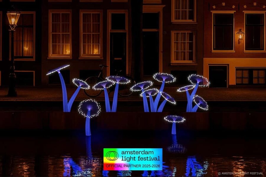 Amsterdam: Light Festival Heated Cruise with Drinks & Snacks - What the drinks and snack options are really worth