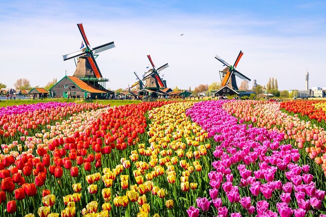 Amsterdam Pass: 45+ Things To Do - Includes Rijksmuseum - Digital tickets, reservations, and common snags