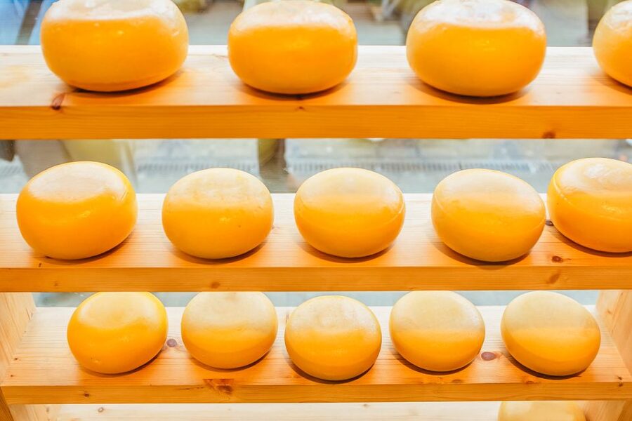 Amsterdam: Premium Henri Willig Cheese Tasting Experience - Ten cheeses, three dips, and plenty to compare