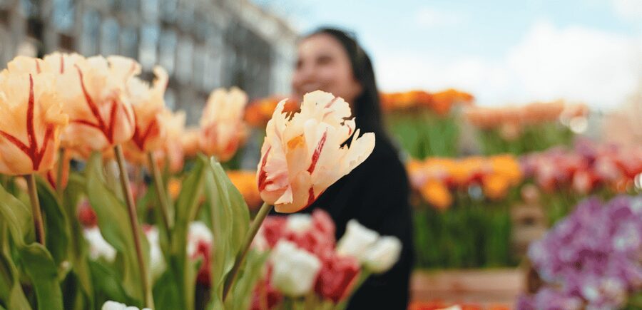 Amsterdam: Premium Tulip Boat Canal Tour - Amstel River views and changing scenery