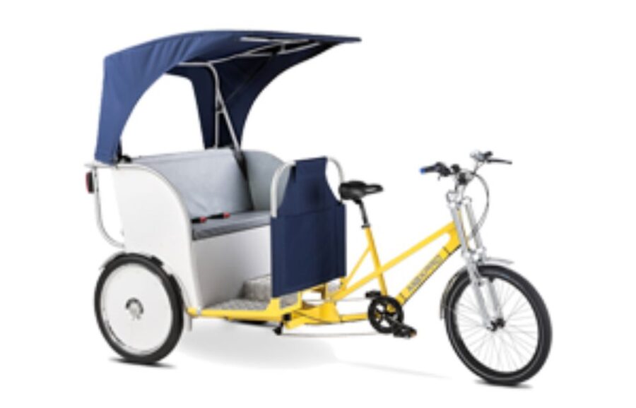 Amsterdam: Private Guided City Tour by Pedicab - The Munttoren and Flower Market