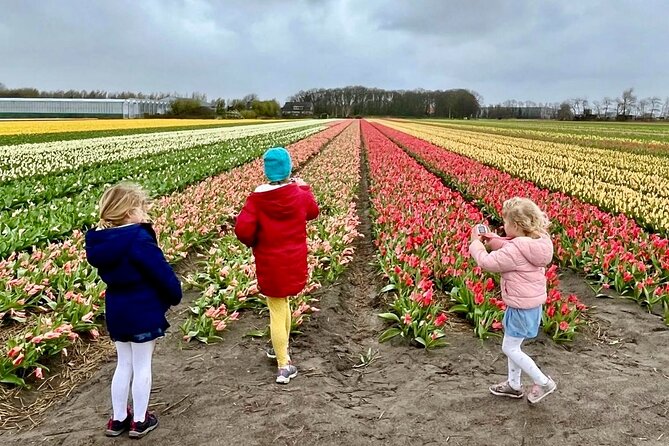 Amsterdam Private Tour to Keukenhof, Tulip Fields and Windmills - Why this private Dutch countryside day works
