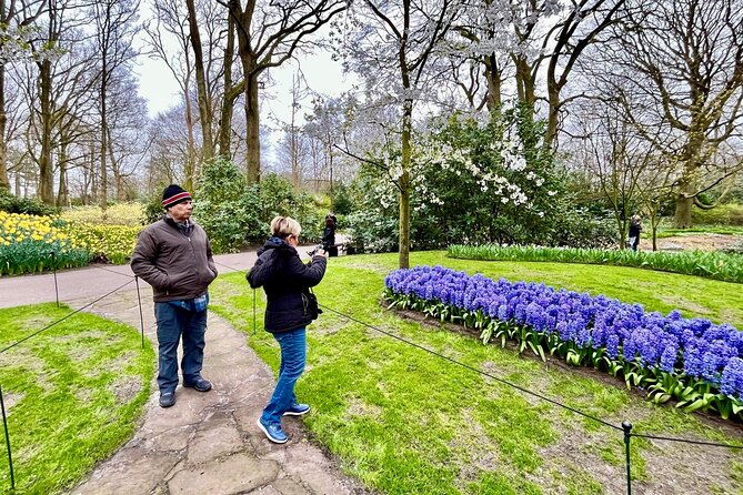 Amsterdam Private Tour to Keukenhof, Tulip Fields and Windmills - Who should book this tour