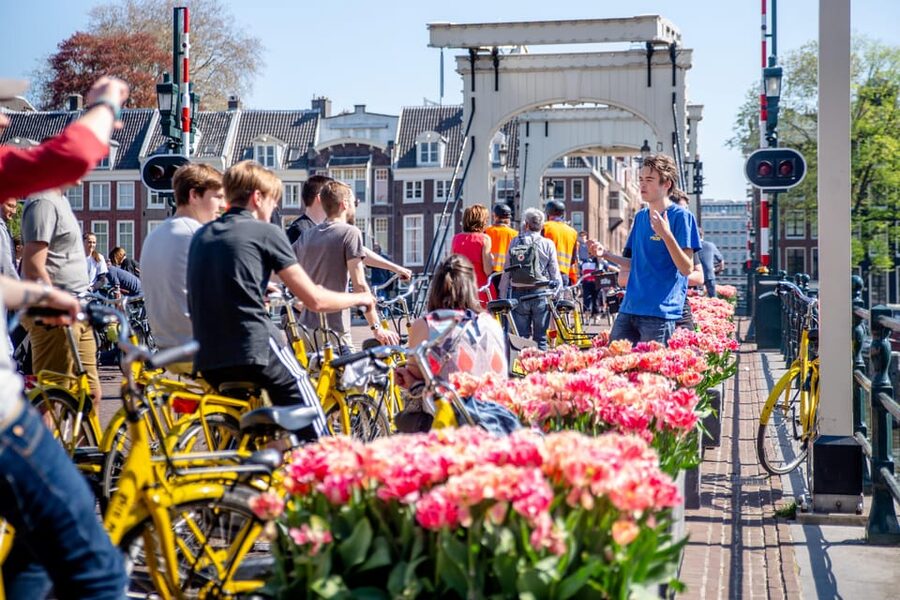 Amsterdam: Relaxed City Highlights Guided Bike Tour - What the $34 price really buys you