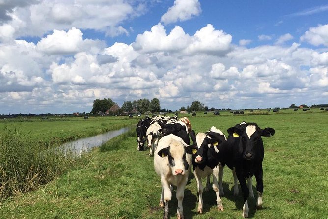 Amsterdam's Countryside Half-Day Bike Tour in Small Group - Waterland shows how the Dutch live below sea level