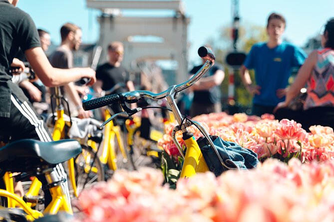 Amsterdam Small Group Bike Tour - Key points to know before you pedal off