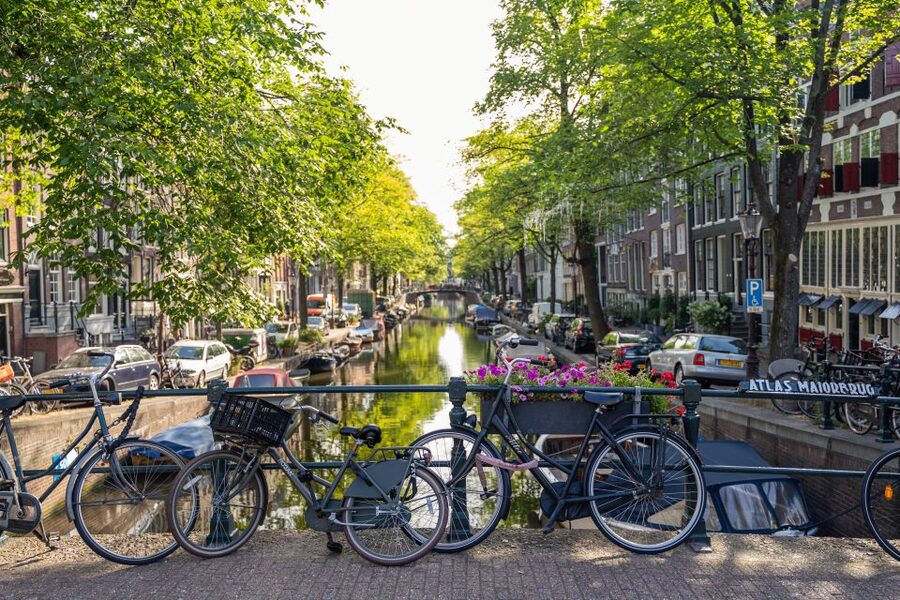 Amsterdam Small-Group Walking Tour - Key points at a glance