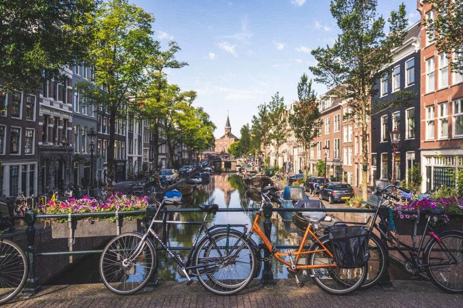 Amsterdam Small-Group Walking Tour - The Jewish Cultural District and Zuiderkerk