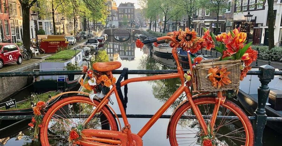 Amsterdam: Small Group Walking Tour with Fun Guide - Key points to know before you book
