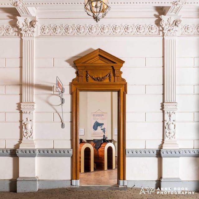 Amsterdam: The 'Hollandsche Manege' Stables Entry Ticket - Meeting the Horses in the Stable Area