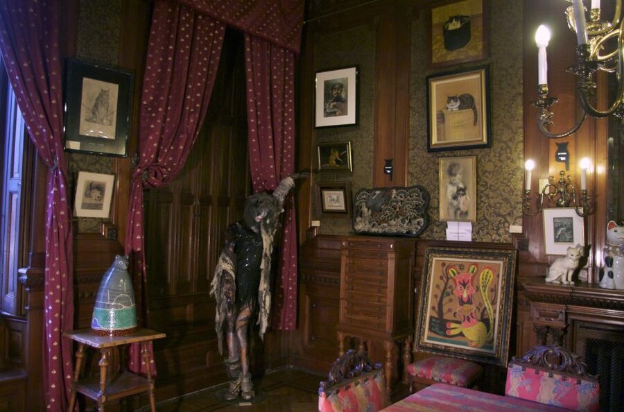 Amsterdam: The Kattenkabinet Cat Museum Entry Ticket - The museum’s live residents