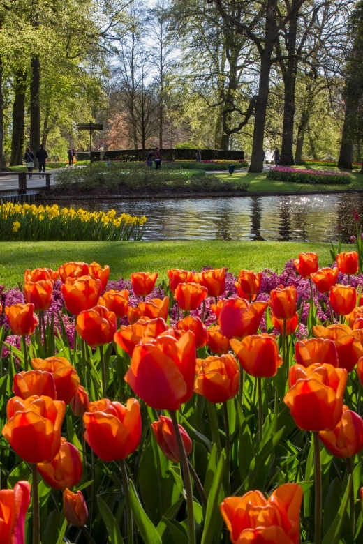 Amsterdam: Tour to Keukenhof Gardens with Windmill Cruise - Key points at a glance