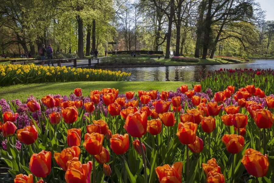 Amsterdam: Tour to Keukenhof Gardens with Windmill Cruise - Cruising the Kaag Lakes below sea level