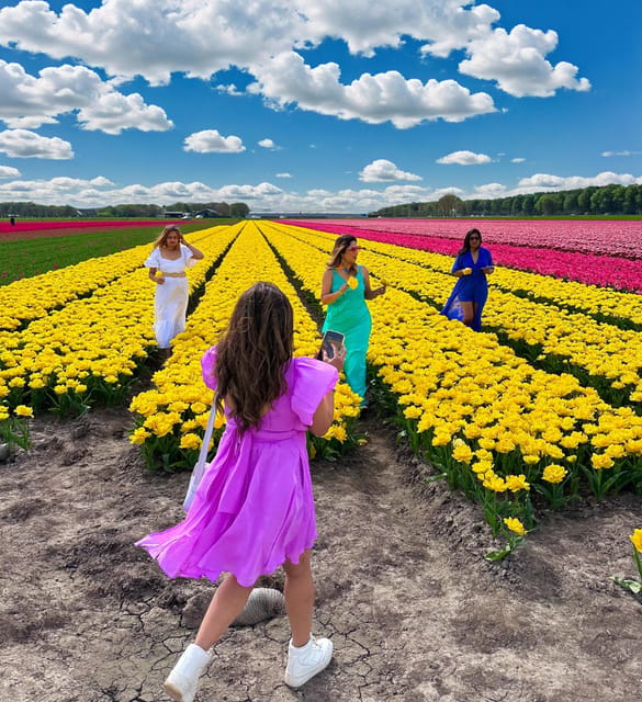 Amsterdam: Tulip Fields Day Tour with Lunch & Windmill - Why these tulip fields beat a standard garden visit