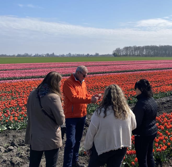 Amsterdam: Tulip Fields Day Tour with Lunch & Windmill - Who will enjoy this tour most