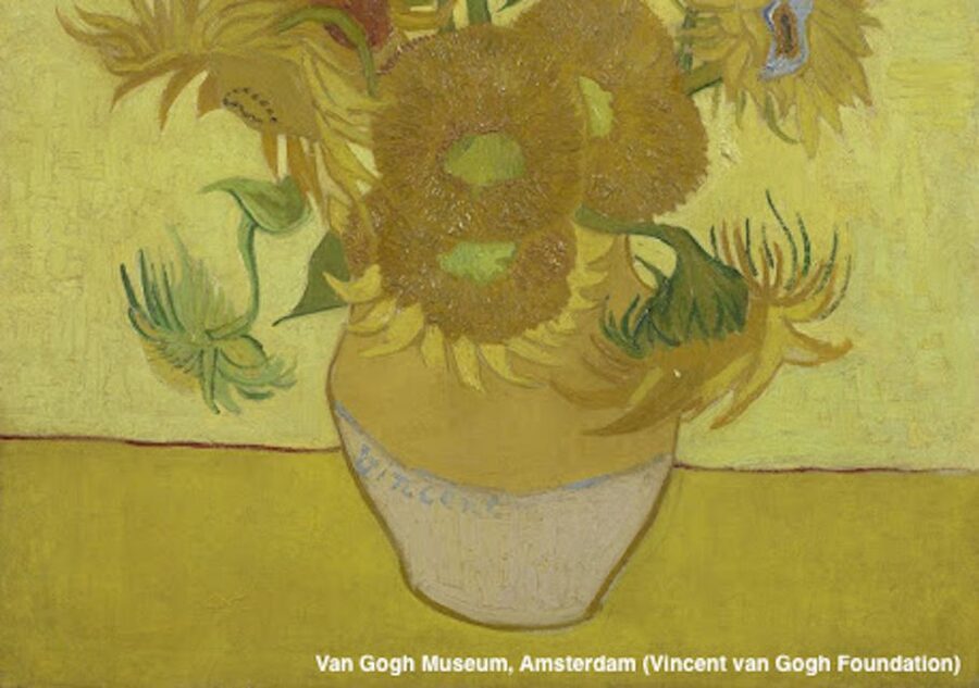 Amsterdam: Van Gogh Museum Guided Tour with Entry - Why a guided visit helps at the Van Gogh Museum