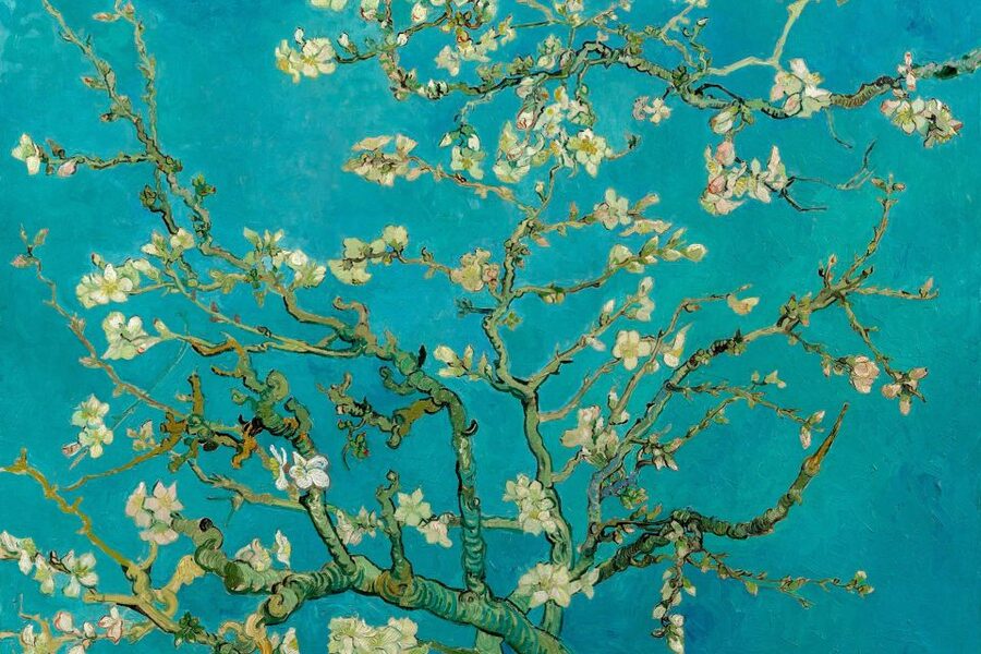 Amsterdam: Van Gogh Museum Ticket and City Canal Cruise - Why this pairing works in Amsterdam