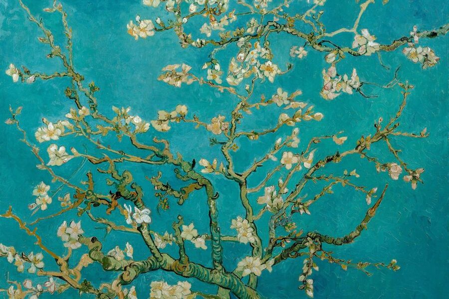 Amsterdam: Van Gogh Museum Ticket & Canal Cruise - Who should book this experience