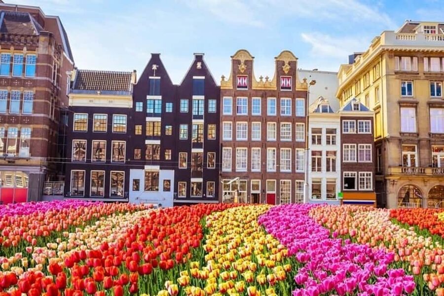 Amsterdam: Walking Tour of Historic Center - Chinatown and Amsterdam’s multicultural center
