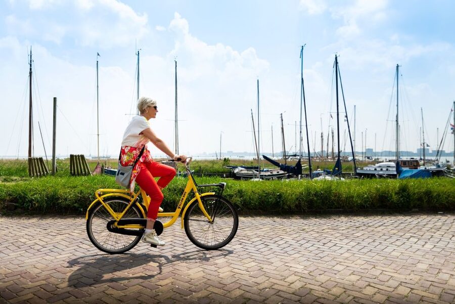 Amsterdam: Waterland District Countryside Villages Bike Tour - D’Admiraal Windmill and the first village views