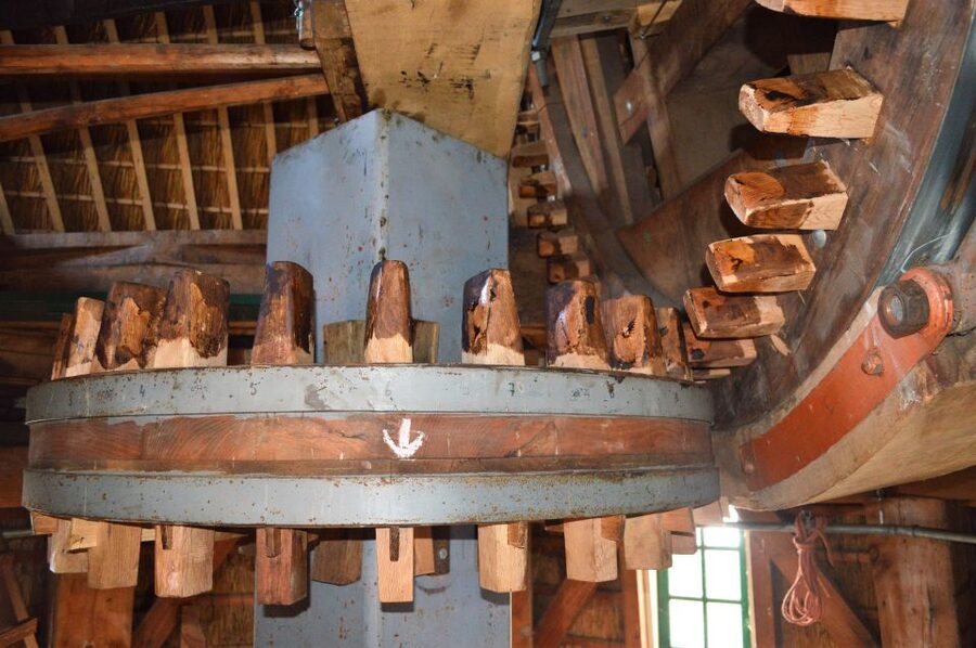 Amsterdam: Windmill Guided Tour - Timing, access, and booking details