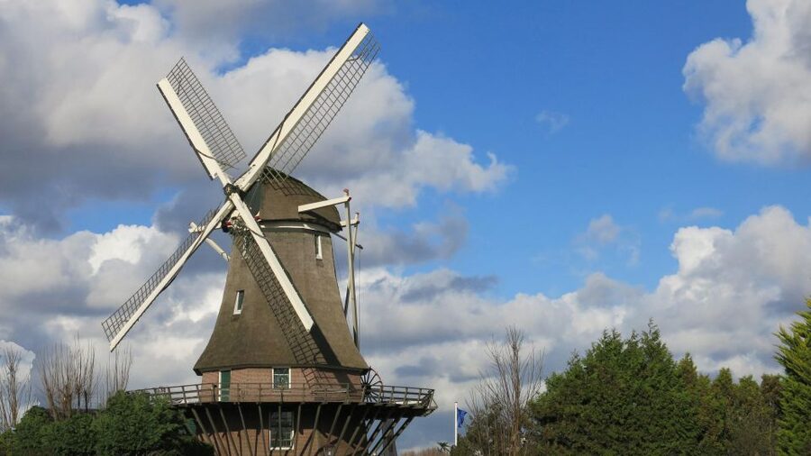 Amsterdam: Windmill Guided Tour - Who will enjoy this short Amsterdam outing
