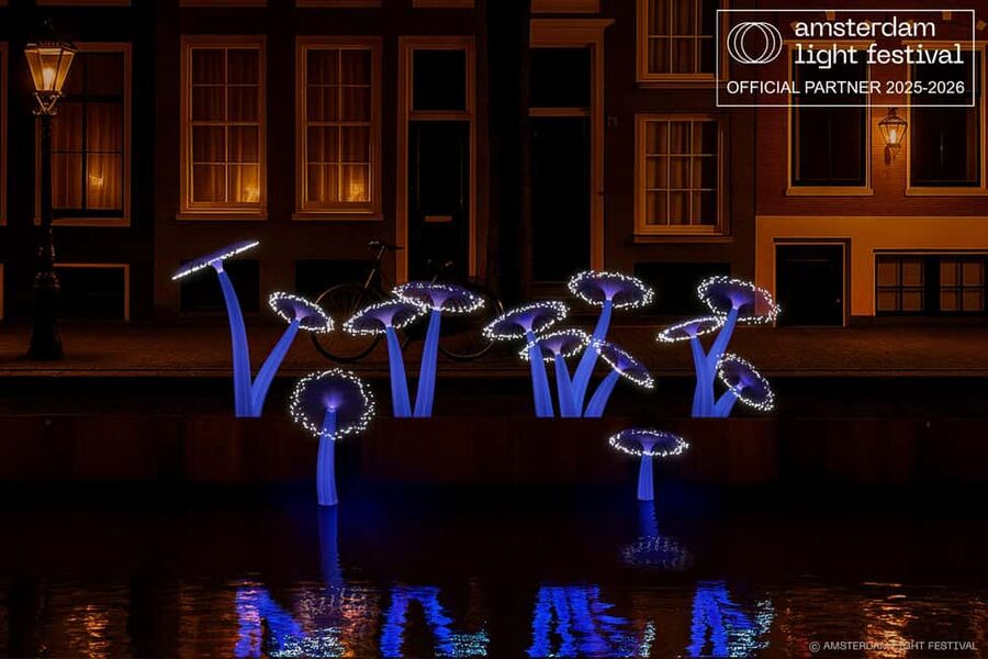Amsterdam Winter Walking Tour - Key points to know before you book