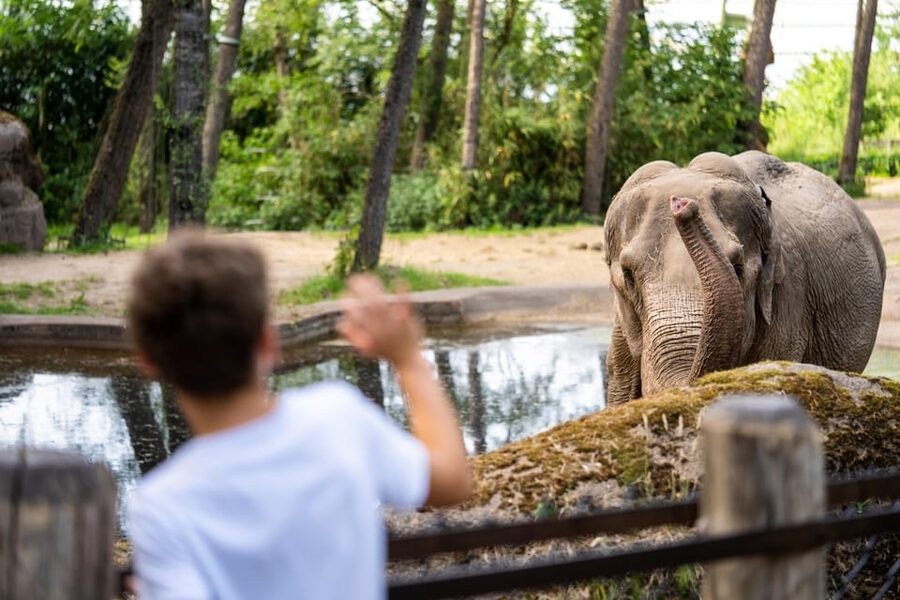 Arnhem: Burgers' Zoo Entry Ticket - Key Points