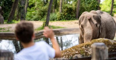 Burgers’ Zoo Entry Ticket