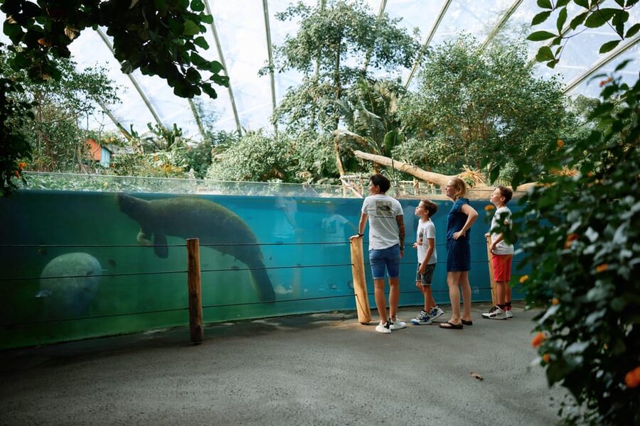 Arnhem: Burgers' Zoo Entry Ticket - Safari Plains With Giraffes and Rhinos