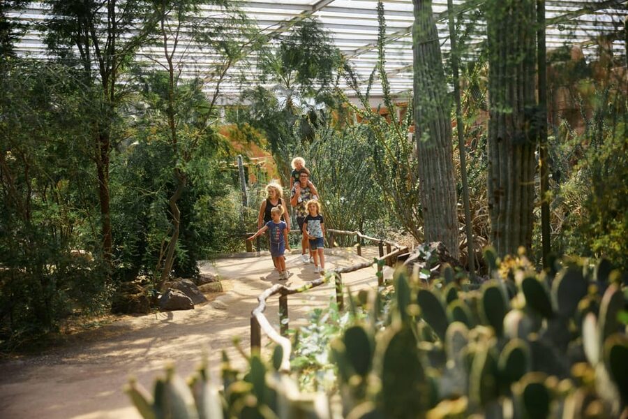 Arnhem: Burgers' Zoo Entry Ticket - Burgers’ Mangrove, Inspired by Belize