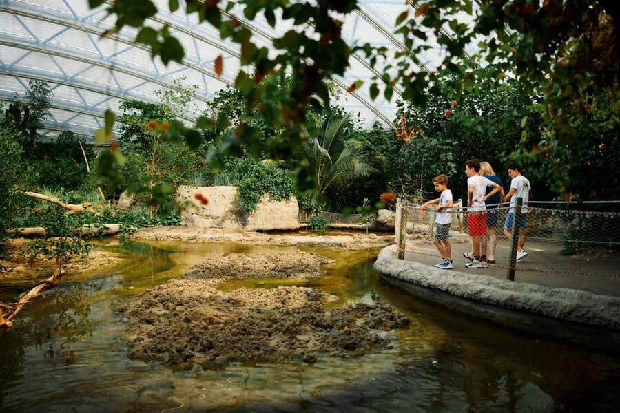 Arnhem: Burgers' Zoo Entry Ticket - How Much Time Should You Set Aside?