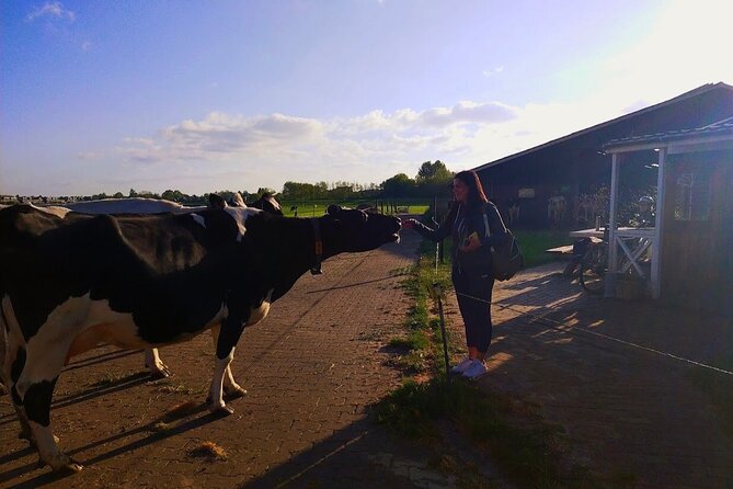 Best of Dutch Countryside: Giethoorn, Windmills, Secret Villages - What the $154.80 price really buys