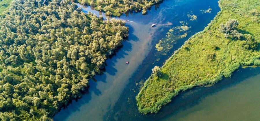 Biesbosch: Boat Cruise through National Park - Wildlife watching without a promise