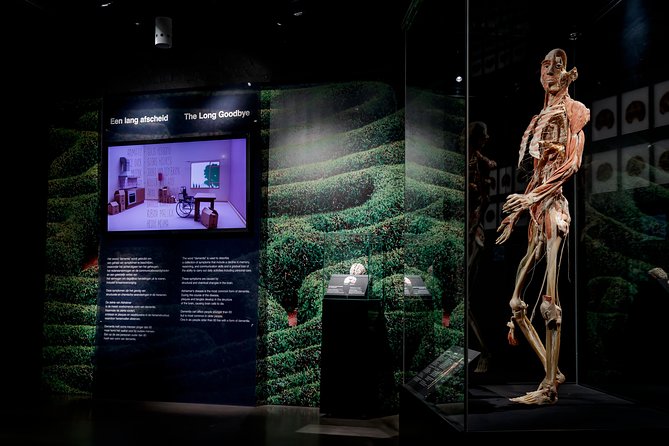 Body Worlds Amsterdam Admission Ticket - Who should visit, and who should think twice