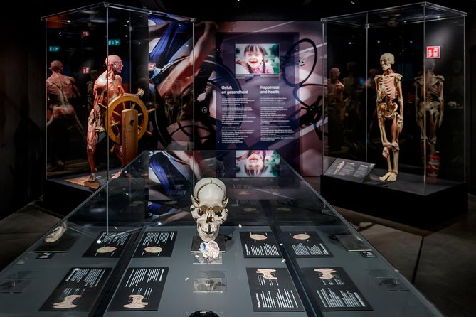 Body Worlds Amsterdam Admission Ticket - A practical look at the 1.5 to 2 hour visit